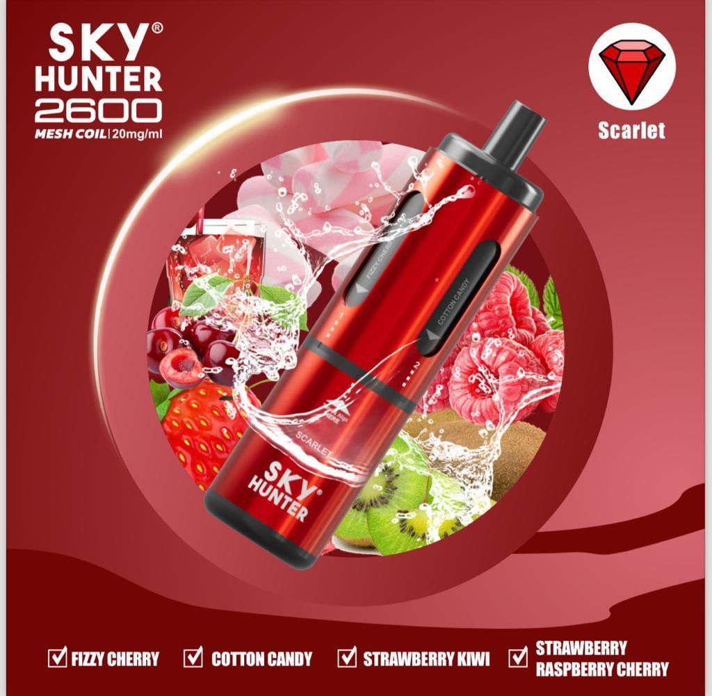 4 in 1 Sky Hunter 2600 Puffs Disposable Vape Box of 5 - Clouds Vapes