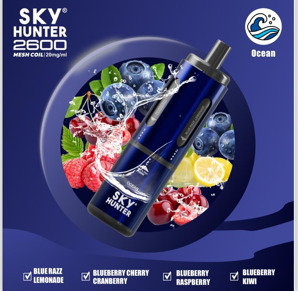 4 in 1 Sky Hunter 2600 Puffs Disposable Vape Box of 5 - Clouds Vapes
